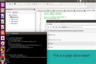 A web server that partially conforms to HTTP/1.1 WebServio